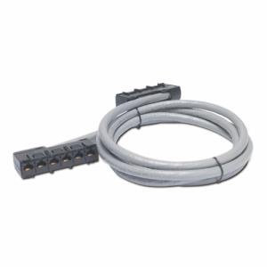 Data Distribution Cable - Cat 5e - UTP - CMR - 6xRJ-45 Jack To 6xRJ-45 Jack - 6.5m - Grey