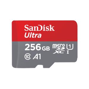 256GB Ultra micro SDXC + SD Adapter (SDSQUNR-256G-GN6TA)