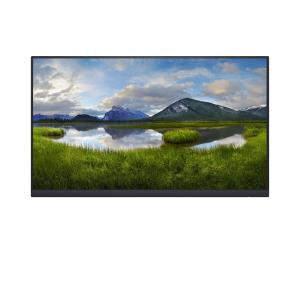 Monitor P2422h - 24in - 1920x1080 - Without Stand- Black