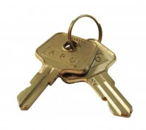 Double-bitted Tumbles Assembly Lock Keys (a9) + Lock Pin