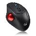 Imouse T30 Wireless Ergonomic Programable Desktop Trackball