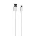 Cable Essential Ce001 - USB - Micro Cable Essential- 1m